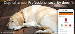 security systems raleigh